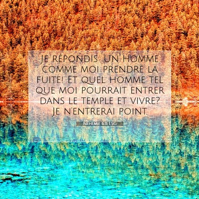 Néhémie 6:11 LSG Image du verset biblique