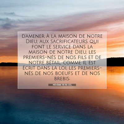 Néhémie 10:36 Verset biblique expliqué