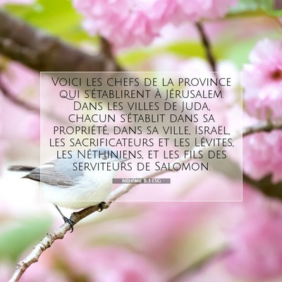 Néhémie 11:3 LSG Image du verset biblique