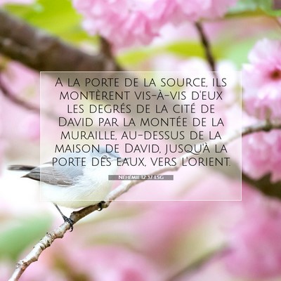 Néhémie 12:37 Verset biblique expliqué