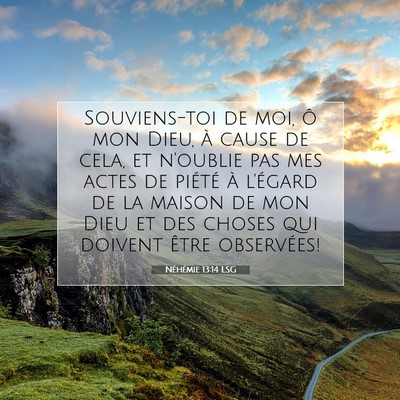 Néhémie 13:14 LSG Image du verset biblique