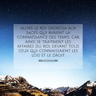 Esther 1:13 LSG Image du verset biblique