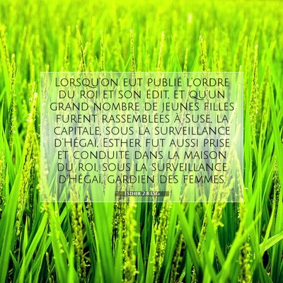 Esther 2:8 LSG Image du verset biblique