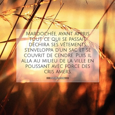 Esther 4:1 LSG Image du verset biblique