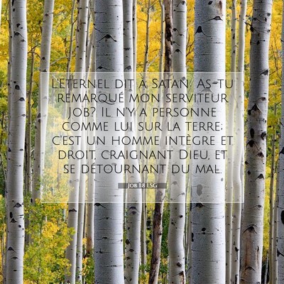 Job 1:8 LSG Image du verset biblique