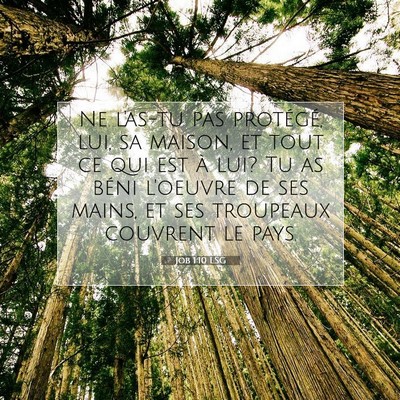 Job 1:10 LSG Image du verset biblique