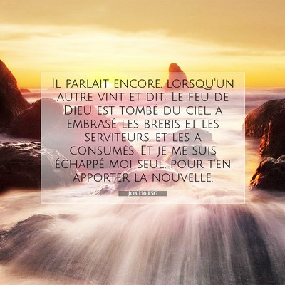 Job 1:16 LSG Image du verset biblique