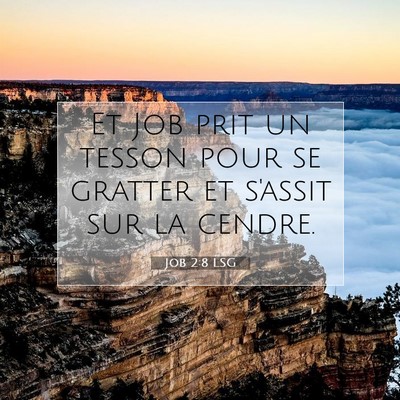 Job 2:8 LSG Image du verset biblique