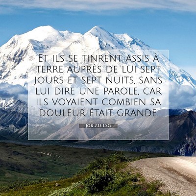 Job 2:13 LSG Image du verset biblique