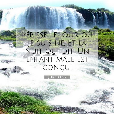 Job 3:3 LSG Image du verset biblique