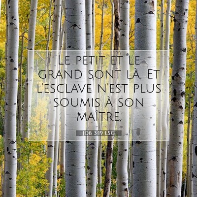 Job 3:19 LSG Image du verset biblique