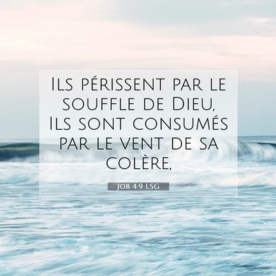 Job 4:9 Verset biblique expliqué