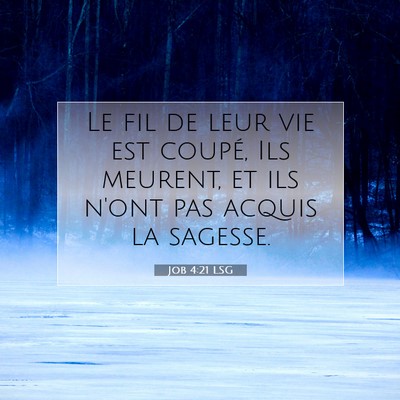 Job 4:21 Verset biblique expliqué