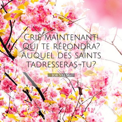 Job 5:1 LSG Image du verset biblique