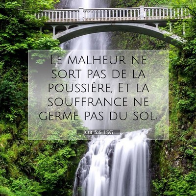 Job 5:6 Verset biblique expliqué