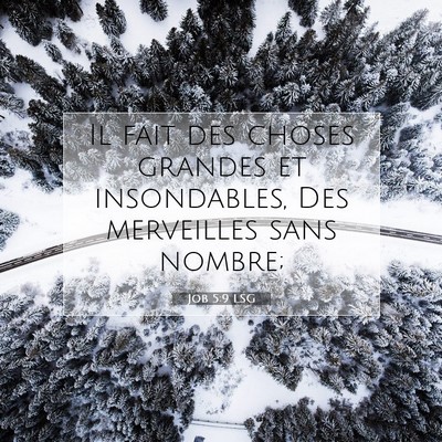 Job 5:9 LSG Image du verset biblique