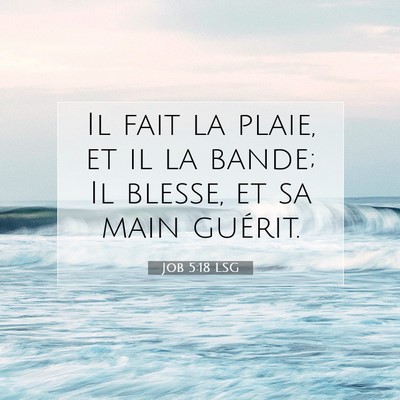 Job 5:18 LSG Image du verset biblique