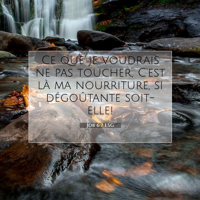 Job 6:7 LSG Image du verset biblique