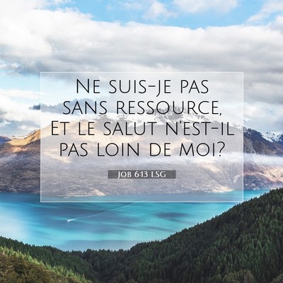 Job 6:13 LSG Image du verset biblique