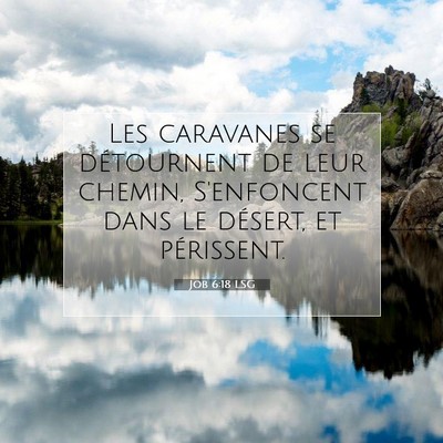 Job 6:18 Verset biblique expliqué