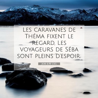 Job 6:19 LSG Image du verset biblique