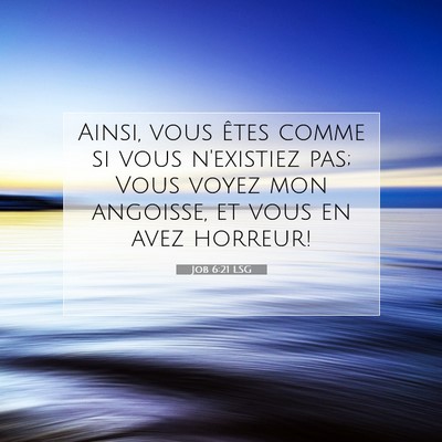 Job 6:21 Verset biblique expliqué