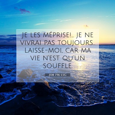 Job 7:16 Verset biblique expliqué