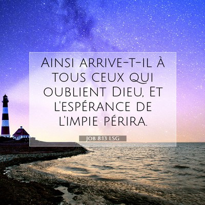 Job 8:13 LSG Image du verset biblique