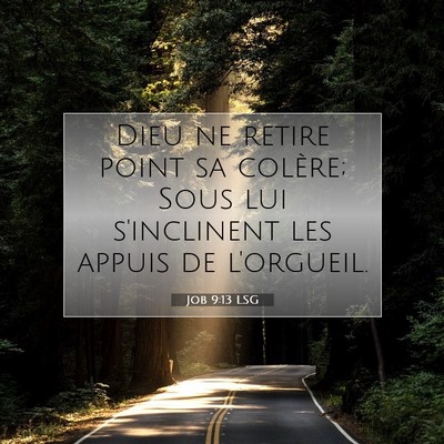 Job 9:13 LSG Image du verset biblique