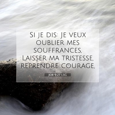 Job 9:27 Verset biblique expliqué