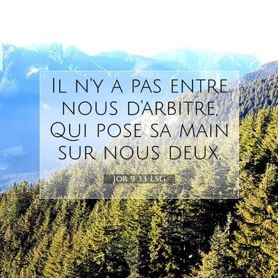 Job 9:33 LSG Image du verset biblique