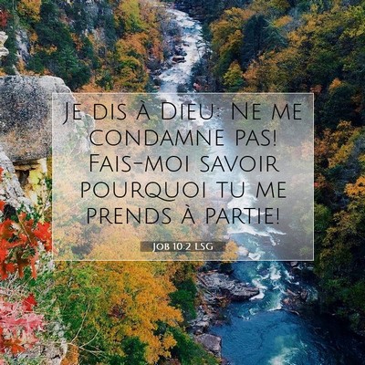 Job 10:2 LSG Image du verset biblique