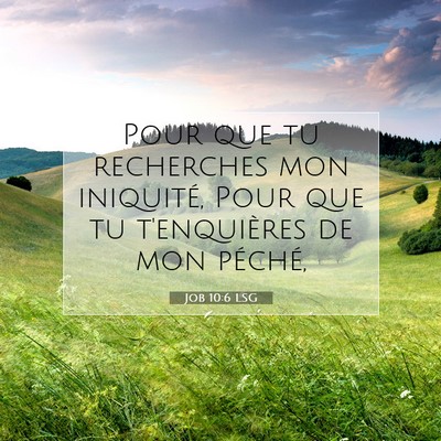 Job 10:6 LSG Image du verset biblique