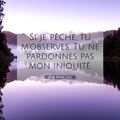 Job 10:14 LSG Image du verset biblique