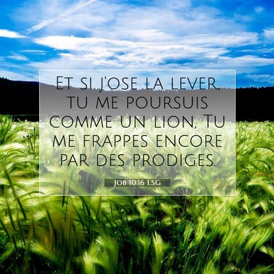 Job 10:16 LSG Image du verset biblique