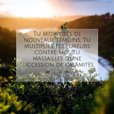 Job 10:17 LSG Image du verset biblique