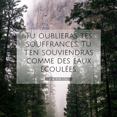 Job 11:16 Verset biblique expliqué