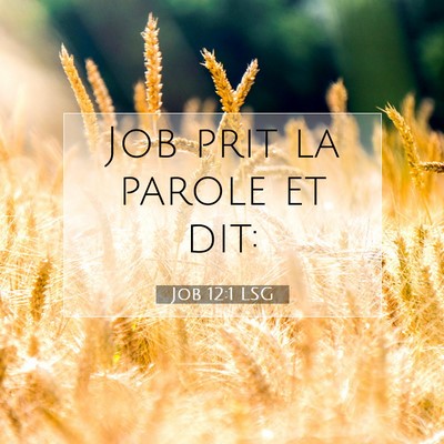 Job 12:1 Verset biblique expliqué