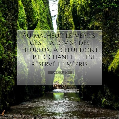 Job 12:5 LSG Image du verset biblique