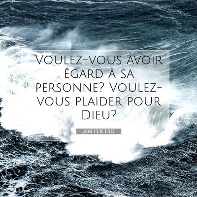 Job 13:8 LSG Image du verset biblique