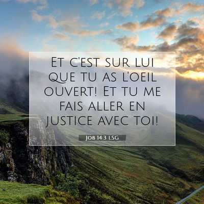 Job 14:3 LSG Image du verset biblique