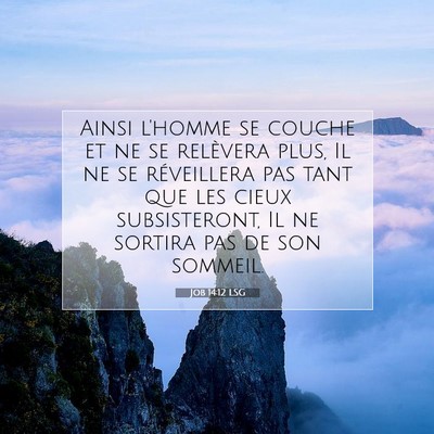 Job 14:12 LSG Image du verset biblique