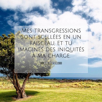 Job 14:17 LSG Image du verset biblique