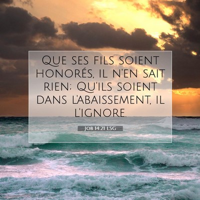 Job 14:21 LSG Image du verset biblique