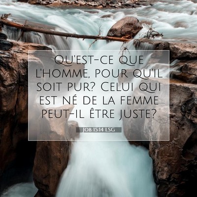 Job 15:14 LSG Image du verset biblique