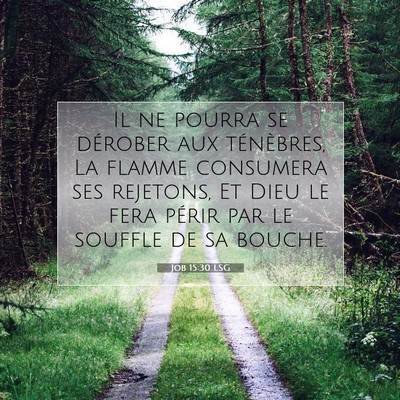 Job 15:30 LSG Image du verset biblique