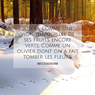 Job 15:33 Verset biblique expliqué