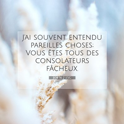 Job 16:2 LSG Image du verset biblique