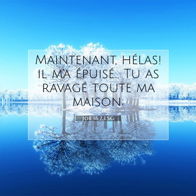 Job 16:7 LSG Image du verset biblique