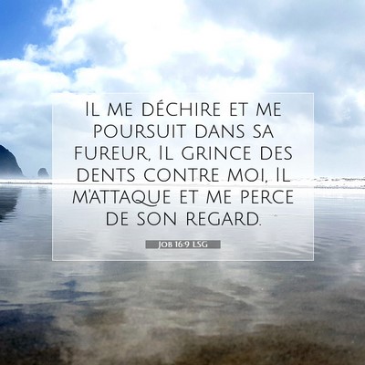 Job 16:9 Verset biblique expliqué